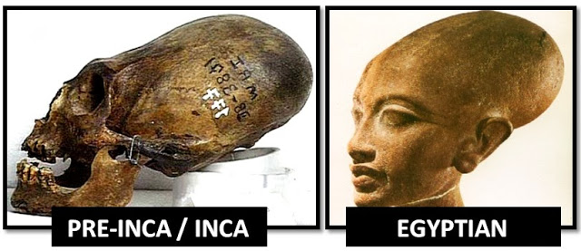 11Egyptian-inca-elongated-skulls